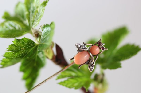 画像7: 珊瑚　ピンブローチ (7)