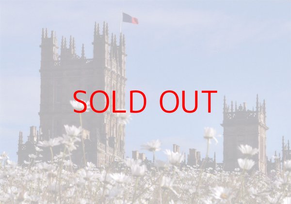 画像9: ハイクレア城　ポストカード12枚セット (9)