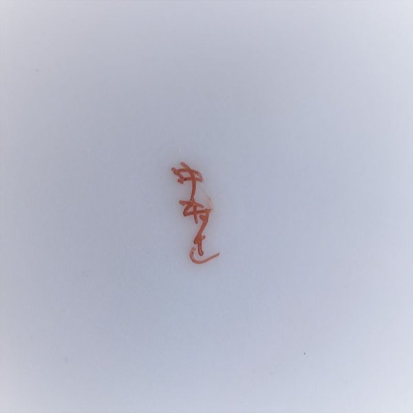 画像15: 中村造　ティーカップ＆ソーサー (15)