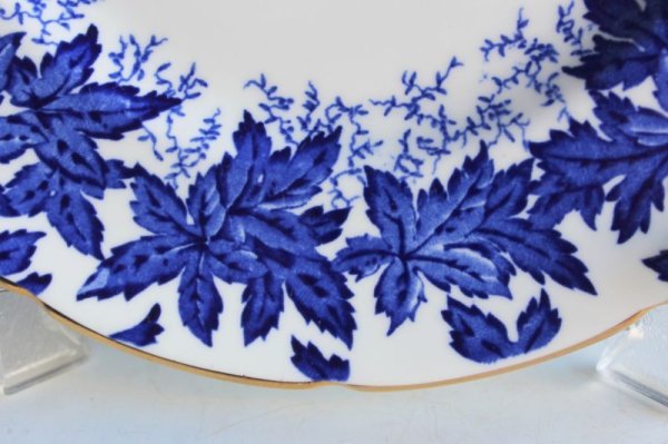 画像9: コールポート B&Wのプレート (9)