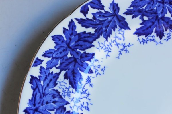 画像4: コールポート B&Wのプレート (4)