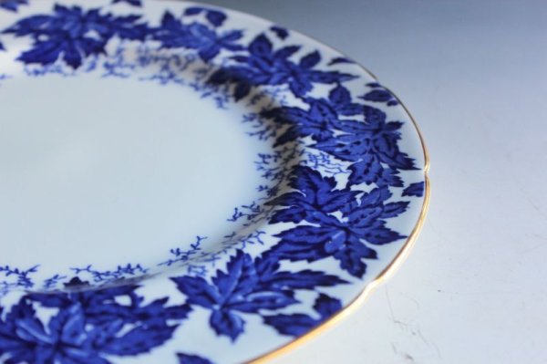 画像6: コールポート B&Wのプレート (6)