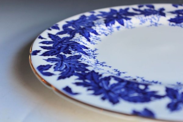 画像7: コールポート B&Wのプレート (7)