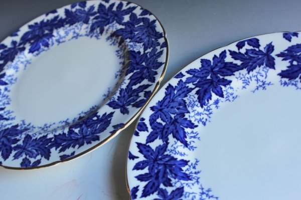 画像13: コールポート B&Wのプレート (13)