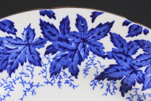 画像8: コールポート B&Wのプレート (8)