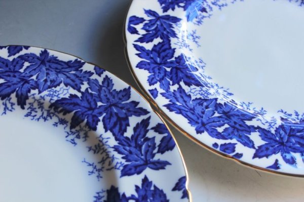 画像12: コールポート B&Wのプレート (12)