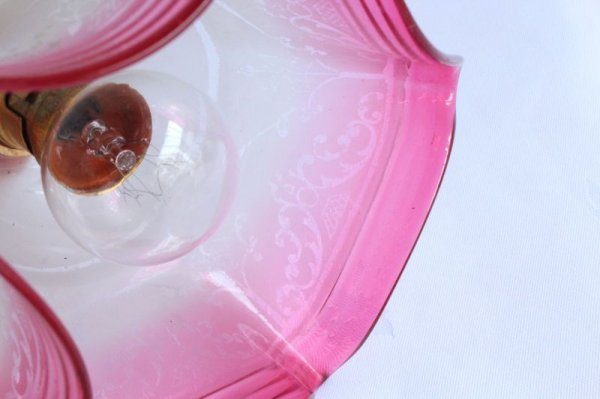 画像7: クランベリーのシェード (7)