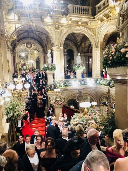 画像2: 2月開催 ウィーンのオペラ座舞踏会とフランツ・フェルディナントのお城訪問 (2)