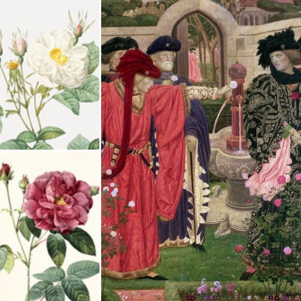 画像1: British Englishで学ぶ　〜 薔薇戦争 〜 (1)