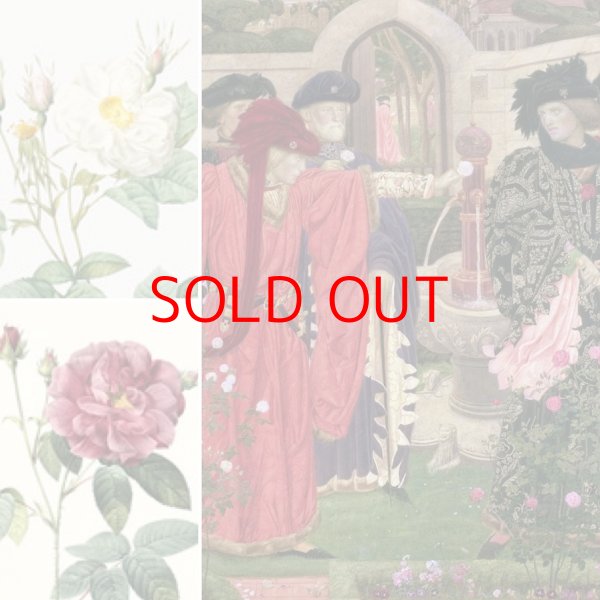 画像1: British Englishで学ぶ　〜 薔薇戦争 〜 (1)